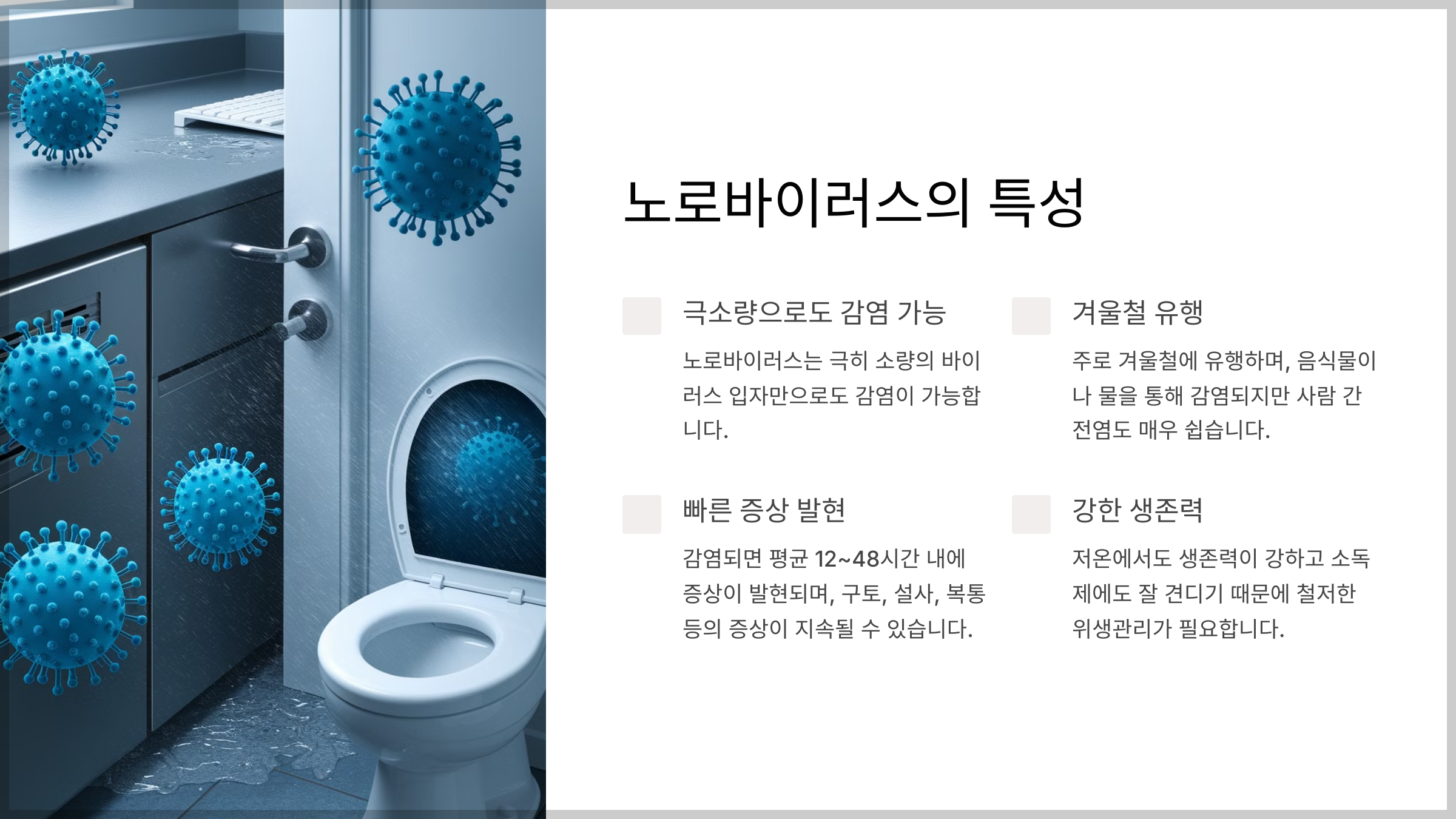 노로바이러스 감염 예방