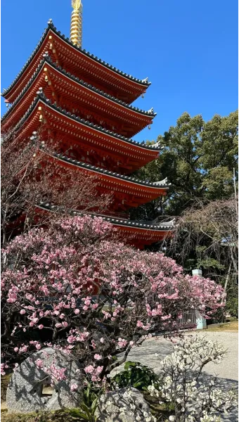 일본여행에서 구매한 빵 과자 기내반입 가능할까 기내반입금지 규정 완벽 안내_20