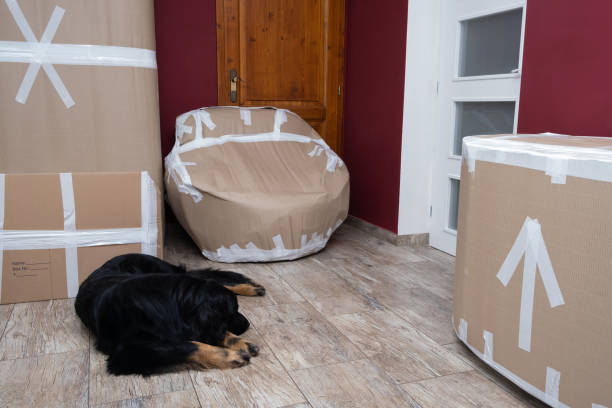 포장이사 가구파손 예방방법