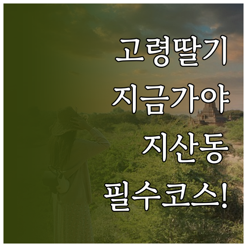 고령 딸기 체험 시기와 지산동 고분군..