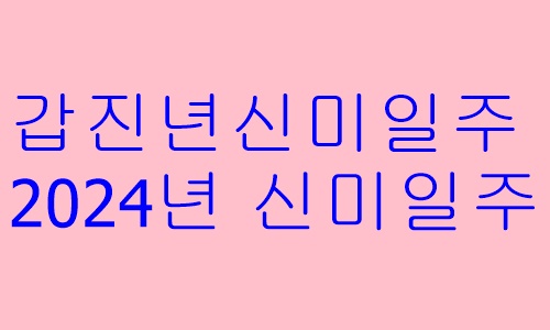 갑진년신미일주