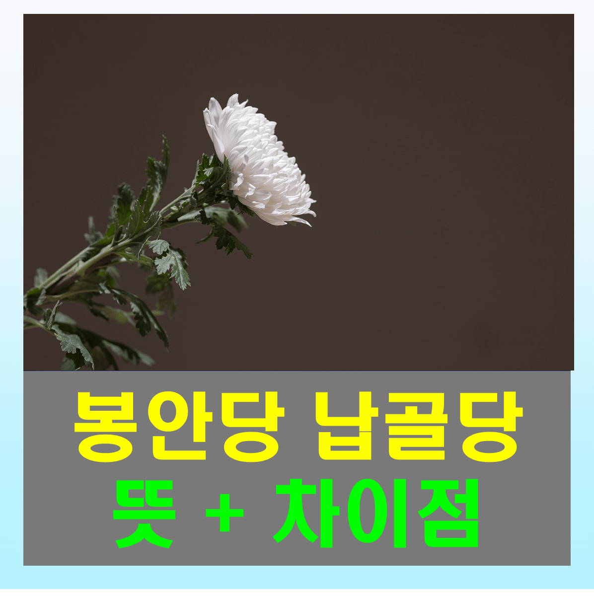 봉안당 뜻 납골당 뜻 알아보자