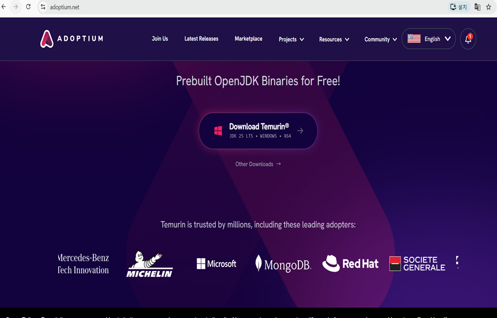 Adoptium 공식 사이트