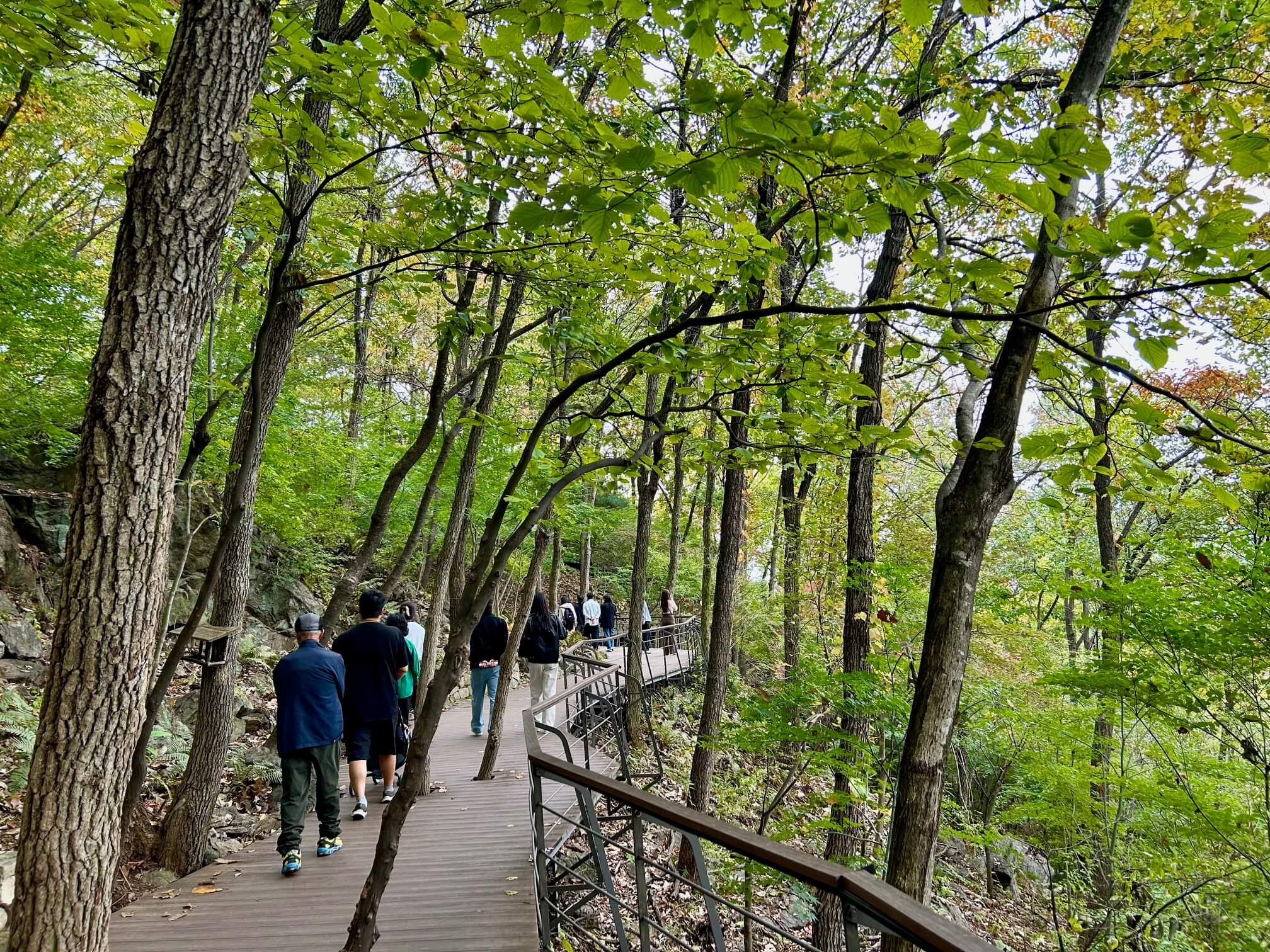2024년 화담숲 10월 말 가을 단풍 양치식물원1
