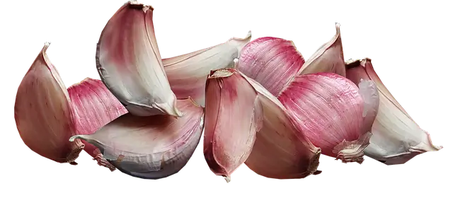 마늘 웃거름주는 시기