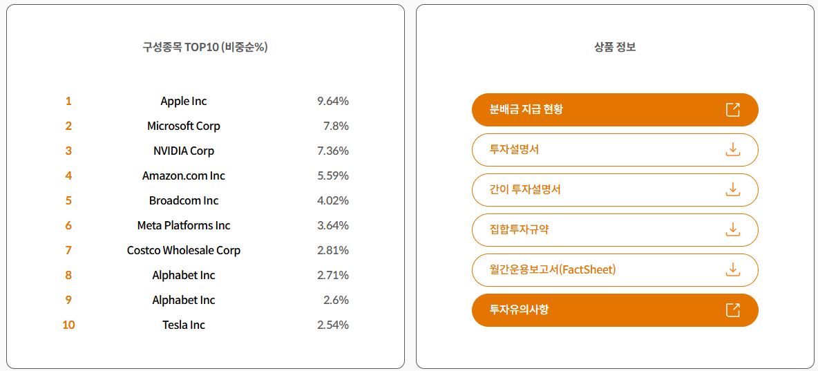 타이거 나스닥100