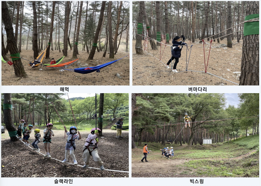 트리 클라이밍 체험 2
