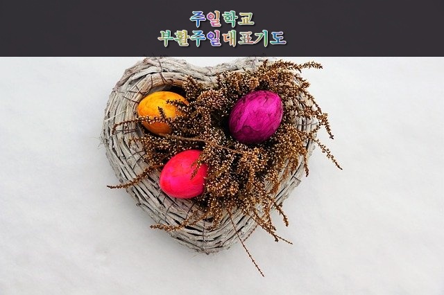 교회 주일학교 부활주일 대표 기도문