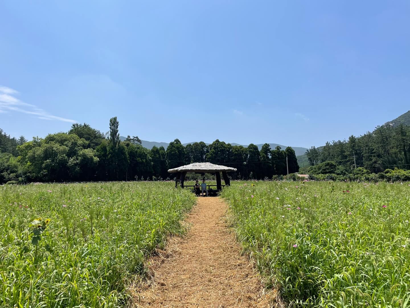 윤선도원림 세연정