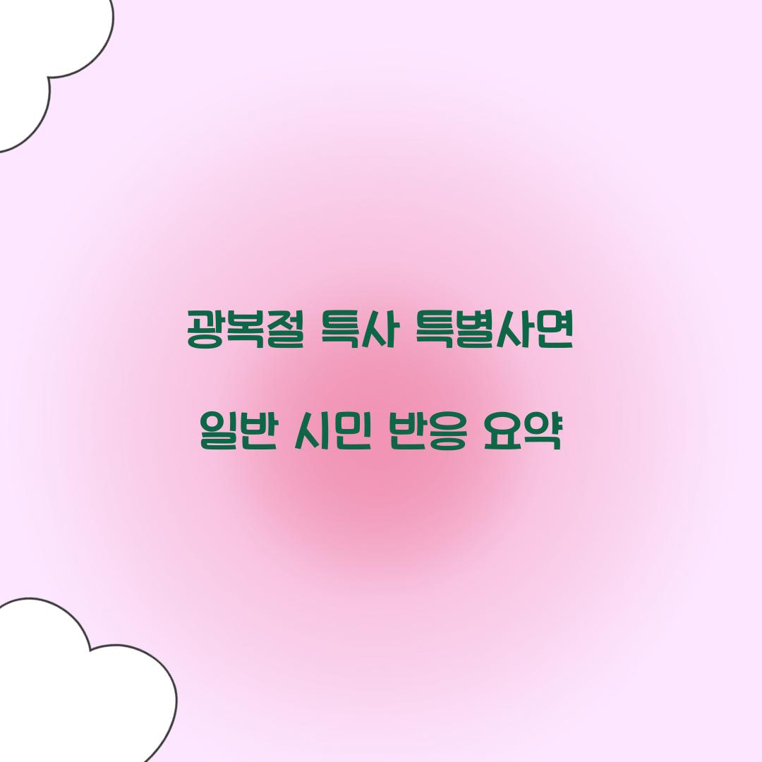 광복절 특사 특별사면 일반 시민 반응 요약