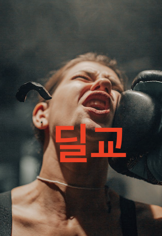 딜교 짤