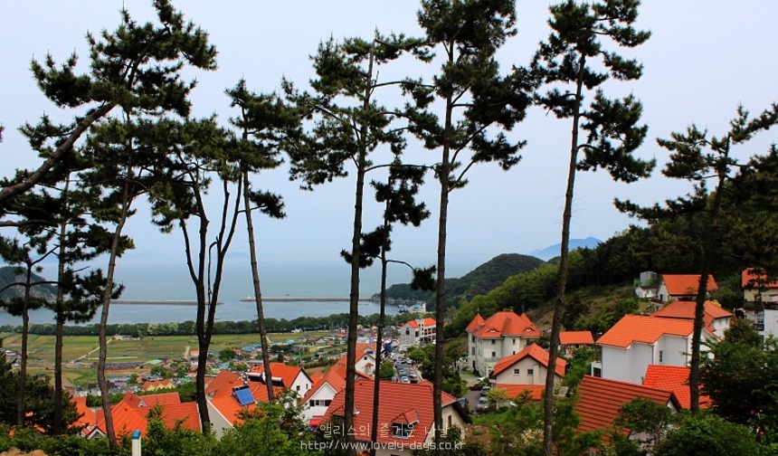 남해 여행 추천 코스 + 가볼만한곳 BEST 06 - 전도갯벌체험장, 독일마을 포함