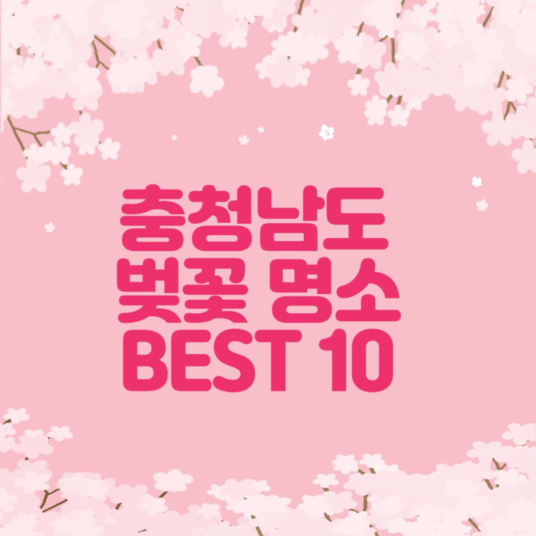 충청남도 벚꽃 명소 베스트10 가볼만한곳 봄꽃 여행지 총정리