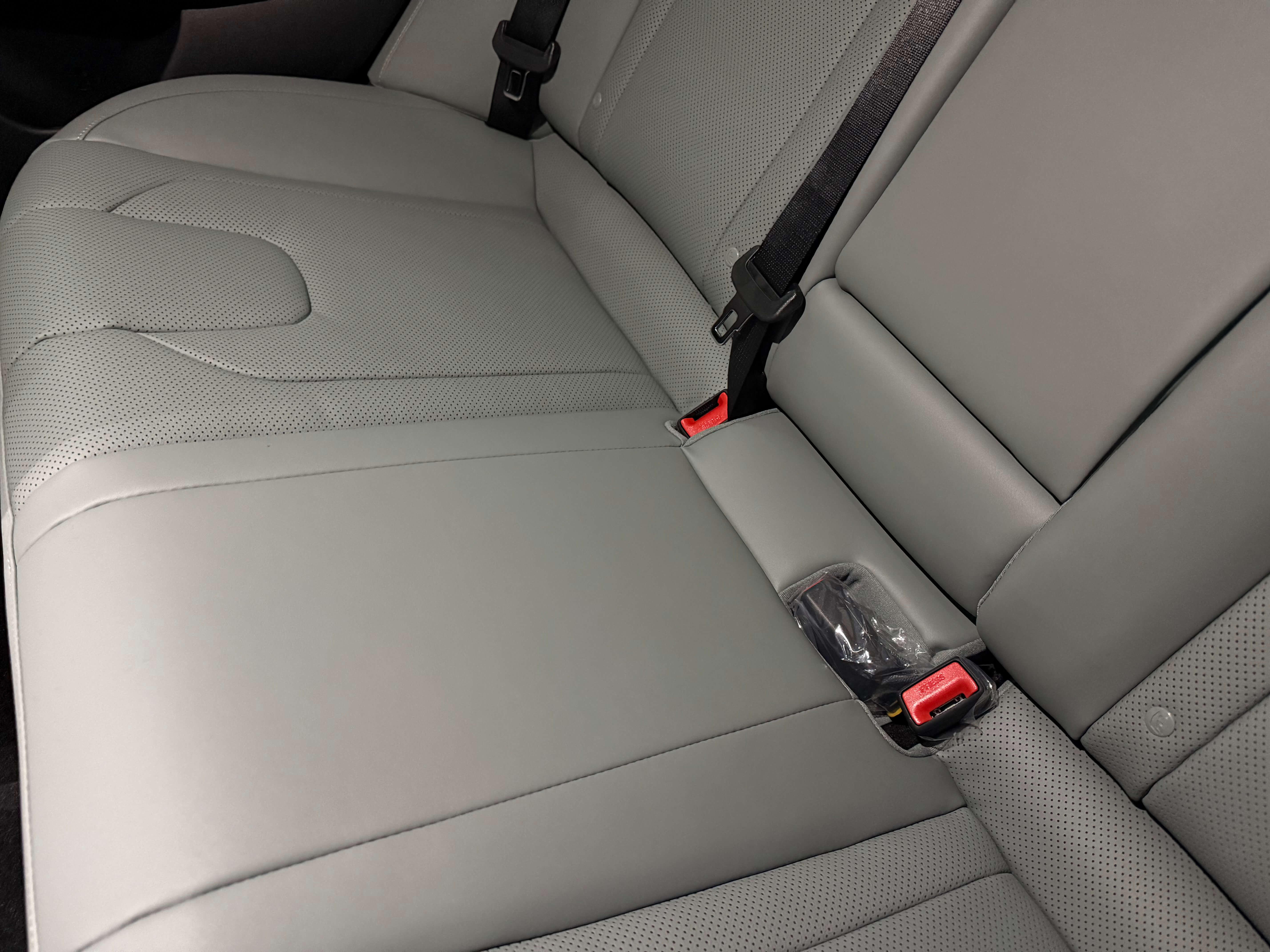 뒷자석 세이지 그린 시트