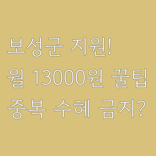 2025 보성군 생리용품 월 1300..
