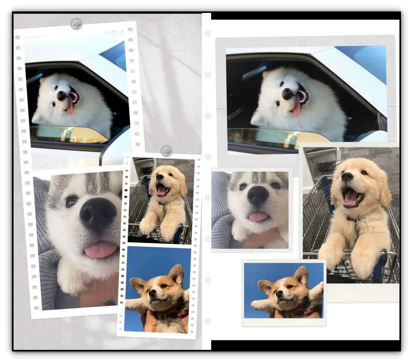 구글포토-콜라주-사진-합치기