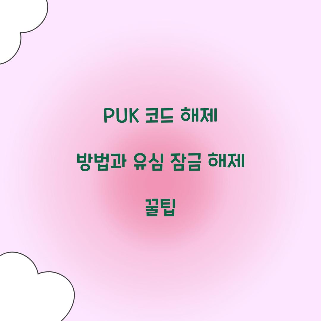 PUK 코드 해제 방법