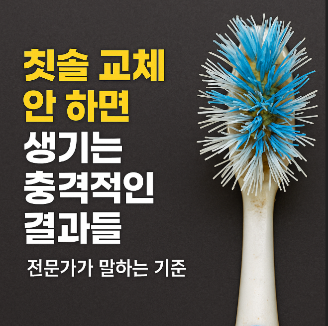 칫솔교체
