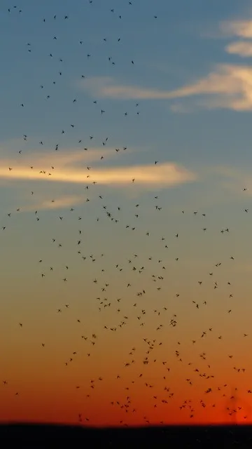 pix_국민은행 예금 금리 2024년 7월_4