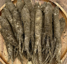 더덕의효능알아보기