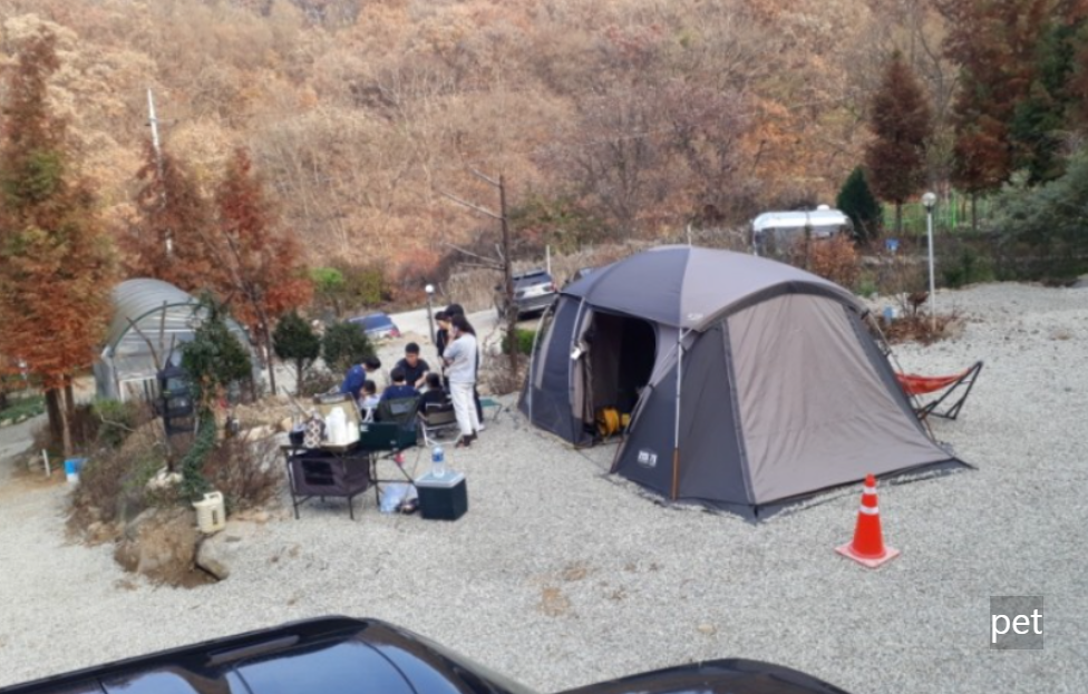 경기-연천-아미골캠핑장-예약-방법-애견-동반-가격-주소-시간-후기