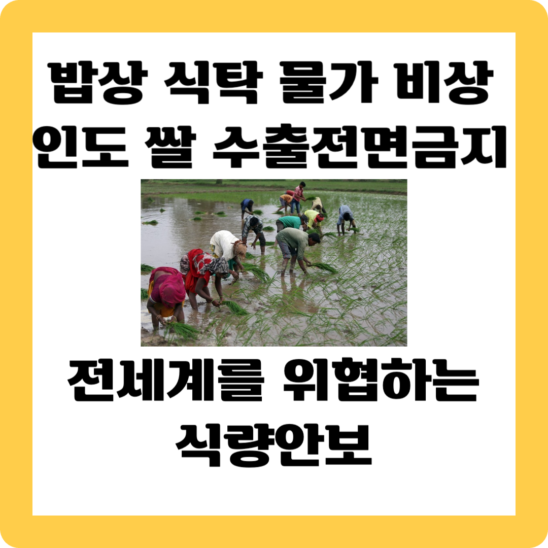 인도쌀 수출금지