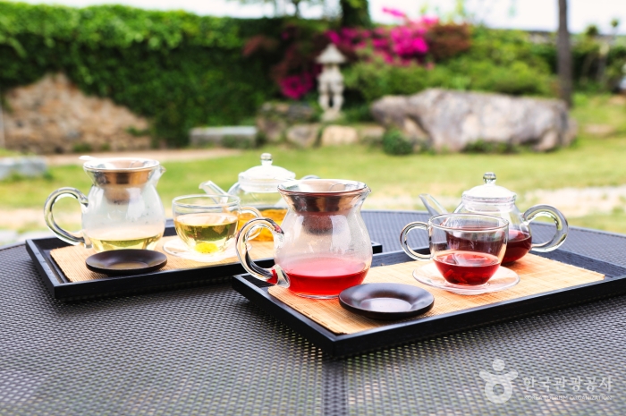 장성 황룡강 홍길동무 꽃길 축제