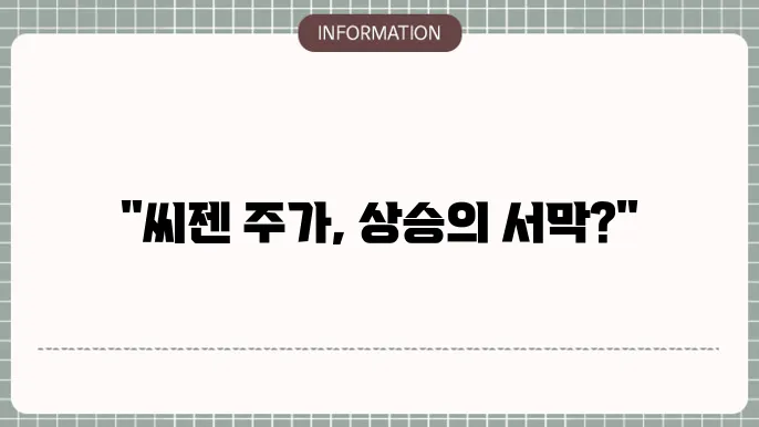 씨젠 주가 전망: 바이오 혁신의 중심
