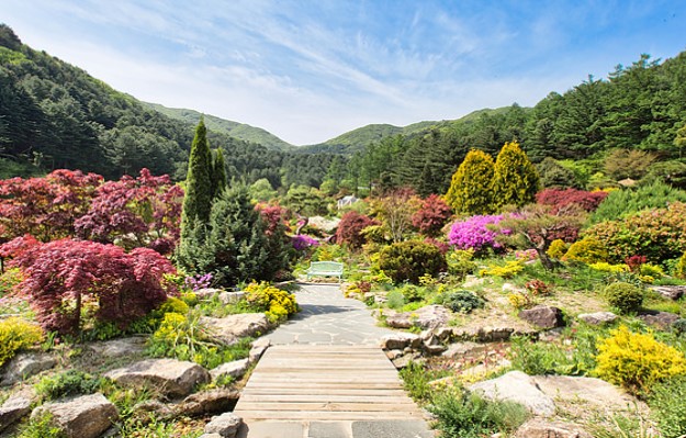 아침고요수목원