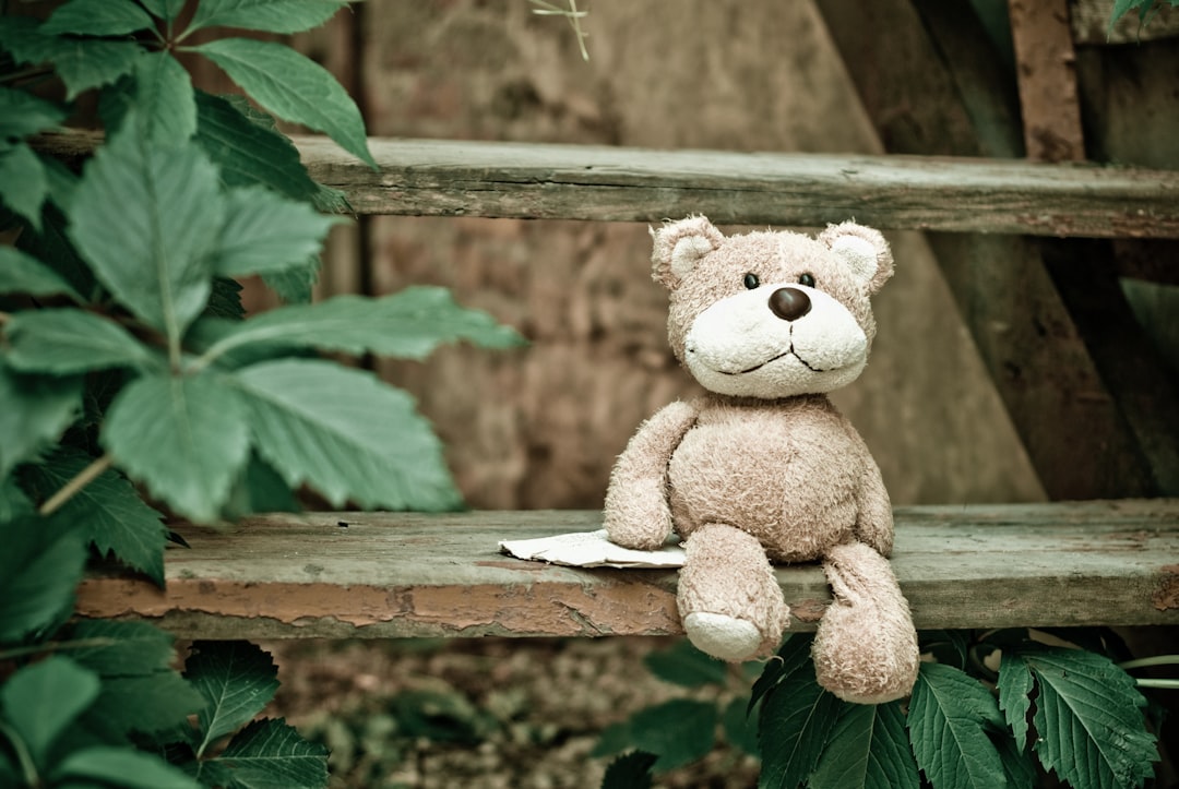 Toy