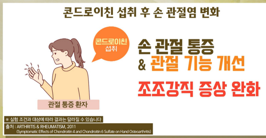 콘드로이친 효능