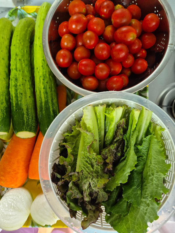 고섬유질 이미지 출처/자체제작