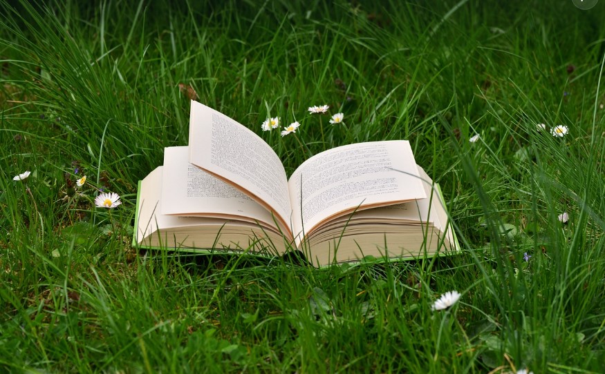 봄 수험생 책 관련 사진