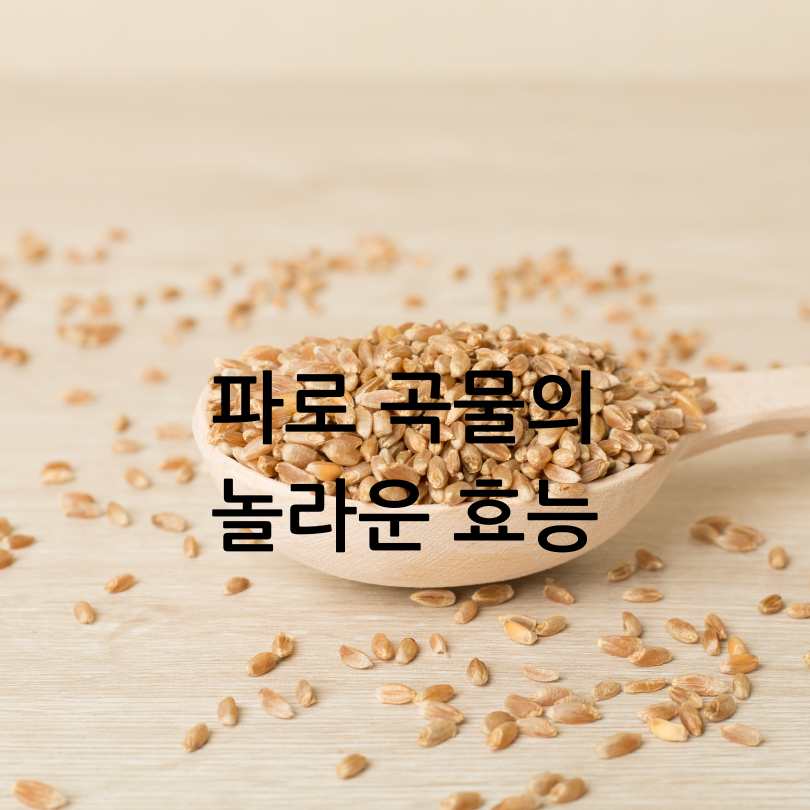 파로의 효능과 먹는방법