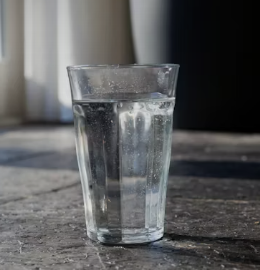 통풍에 좋은 음식 영양제 식단