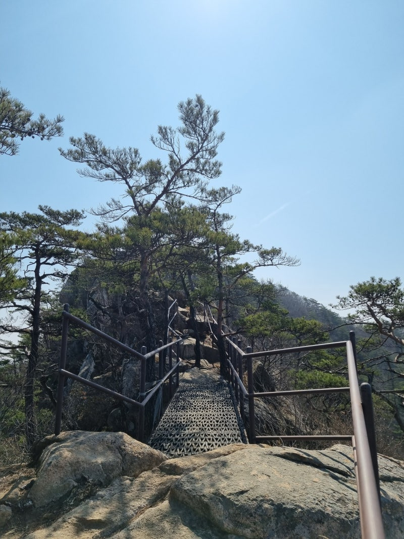 황장산 등산지도