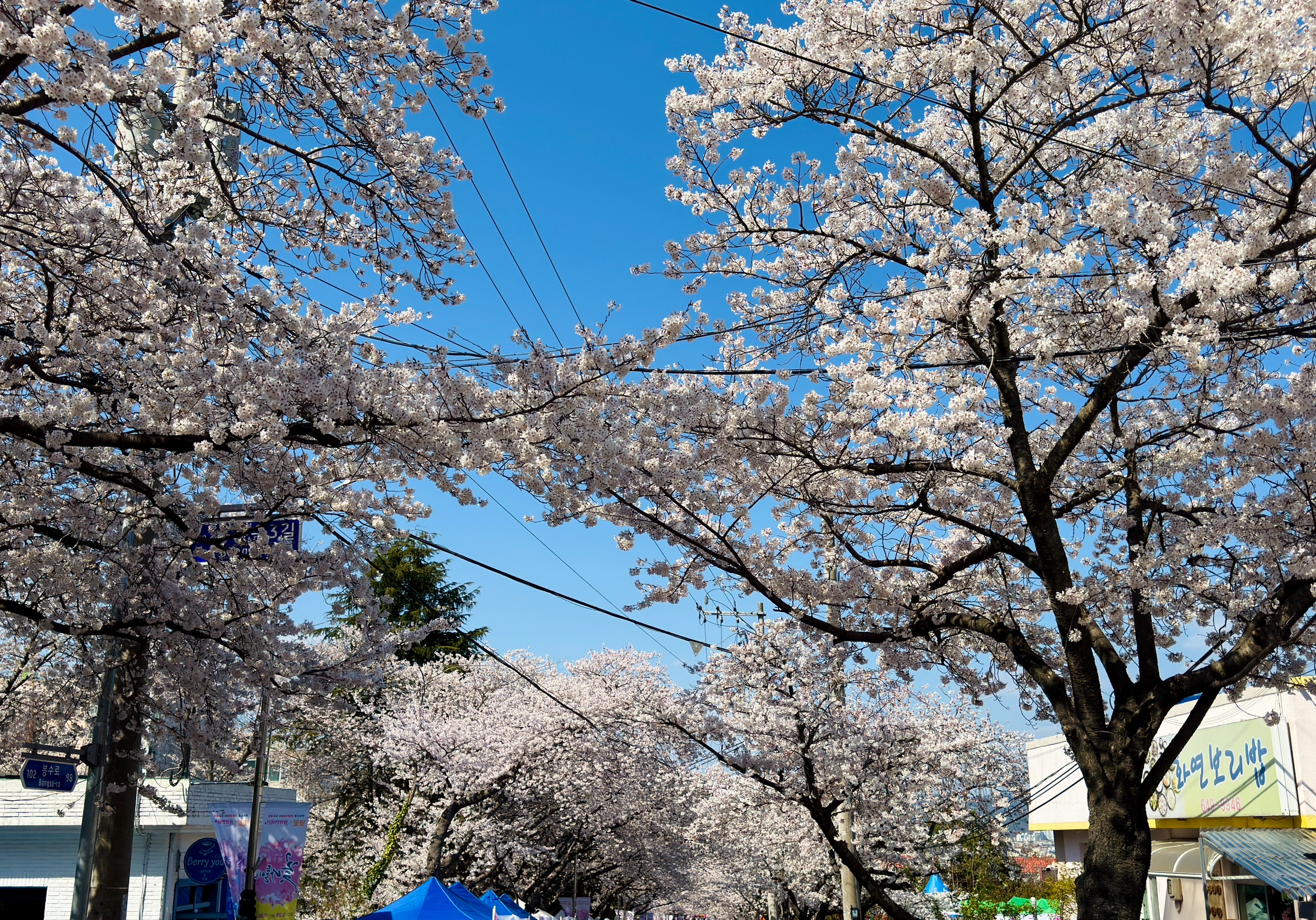 책과 예술이 머무는 곳, 통영 독립서점 &lsquo;봄날의 책방&rsquo;