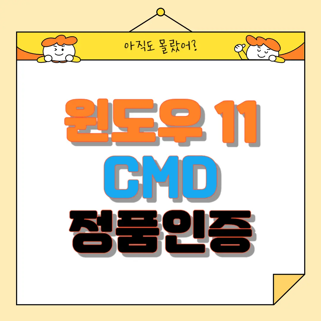 [Windows 11] 윈도우 11 CMD 정품인증