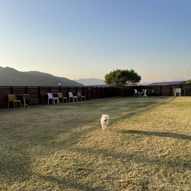 하남 & 경기 광주 반려견 동반 공간 Best 6 : 입장료, 위치, 시간까지 한눈에!