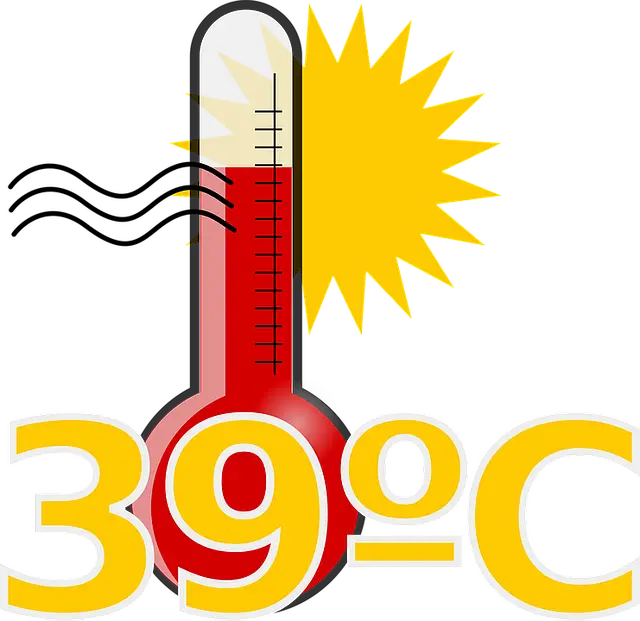 편도염 원인과 증상 치료법