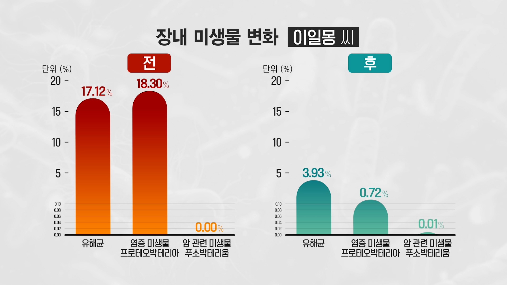 내장지방 체지방 염증 지방 돕는 수국잎 열수 추출물 대표 효능 3가지 및 부작용 알아보기