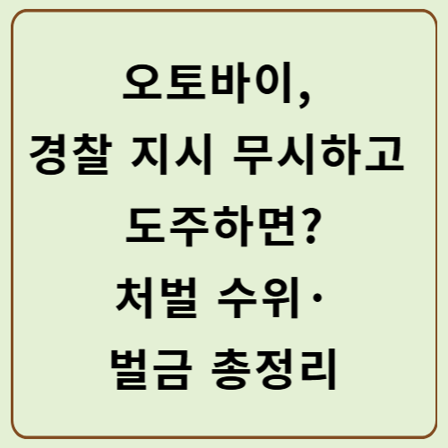 오토바이, 경찰 지시 무시하고 도주하면? 처벌 수위 · 벌금 총정리