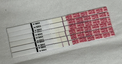 배란-후-매일-테스트기-노예