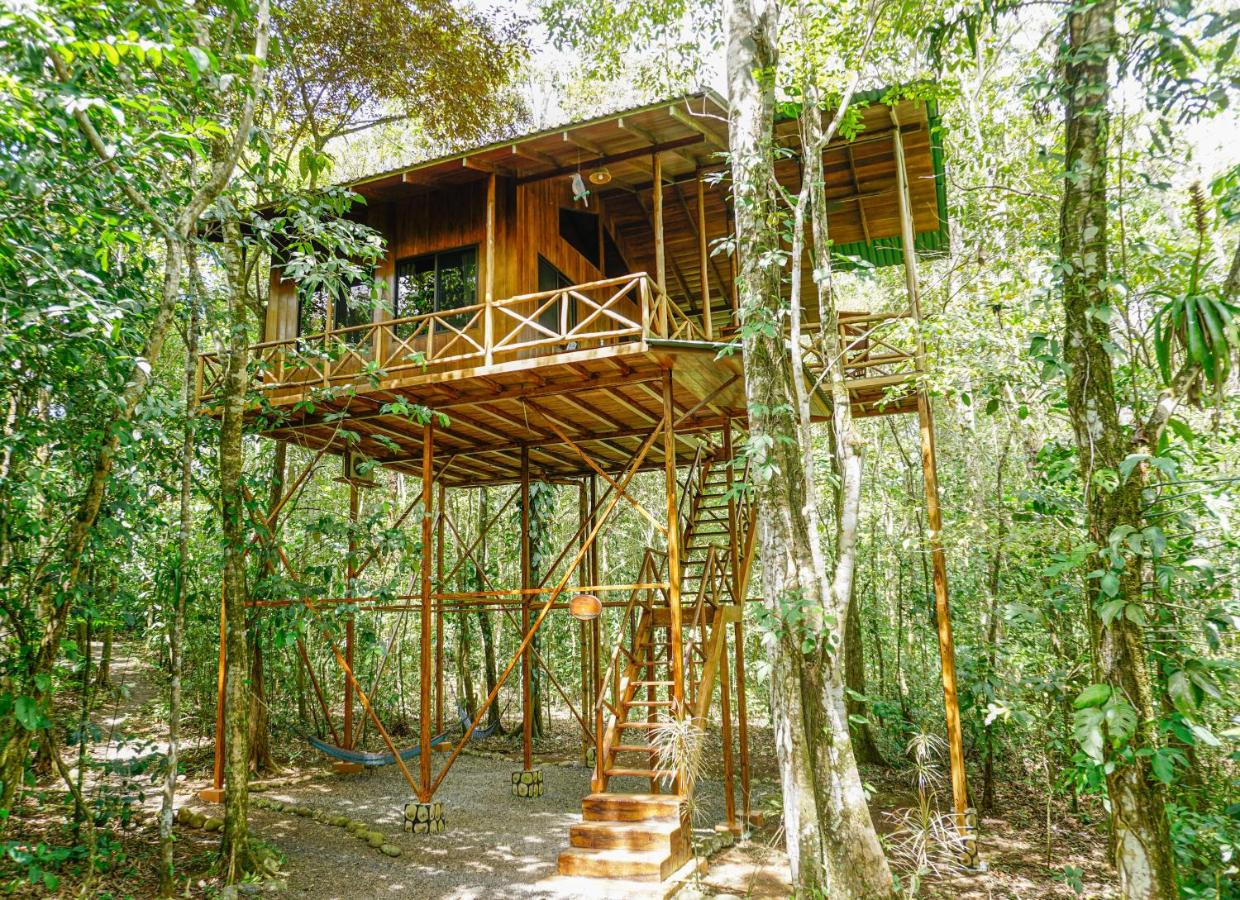 코스타리카의 에코로지 트리하우스(Ecolodge Treehouse)