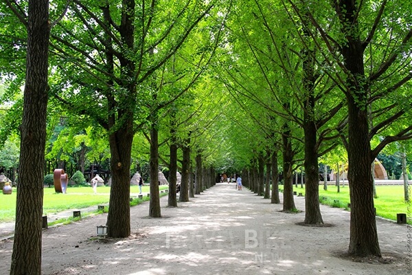 2. 경기도 가평 - 남이섬2