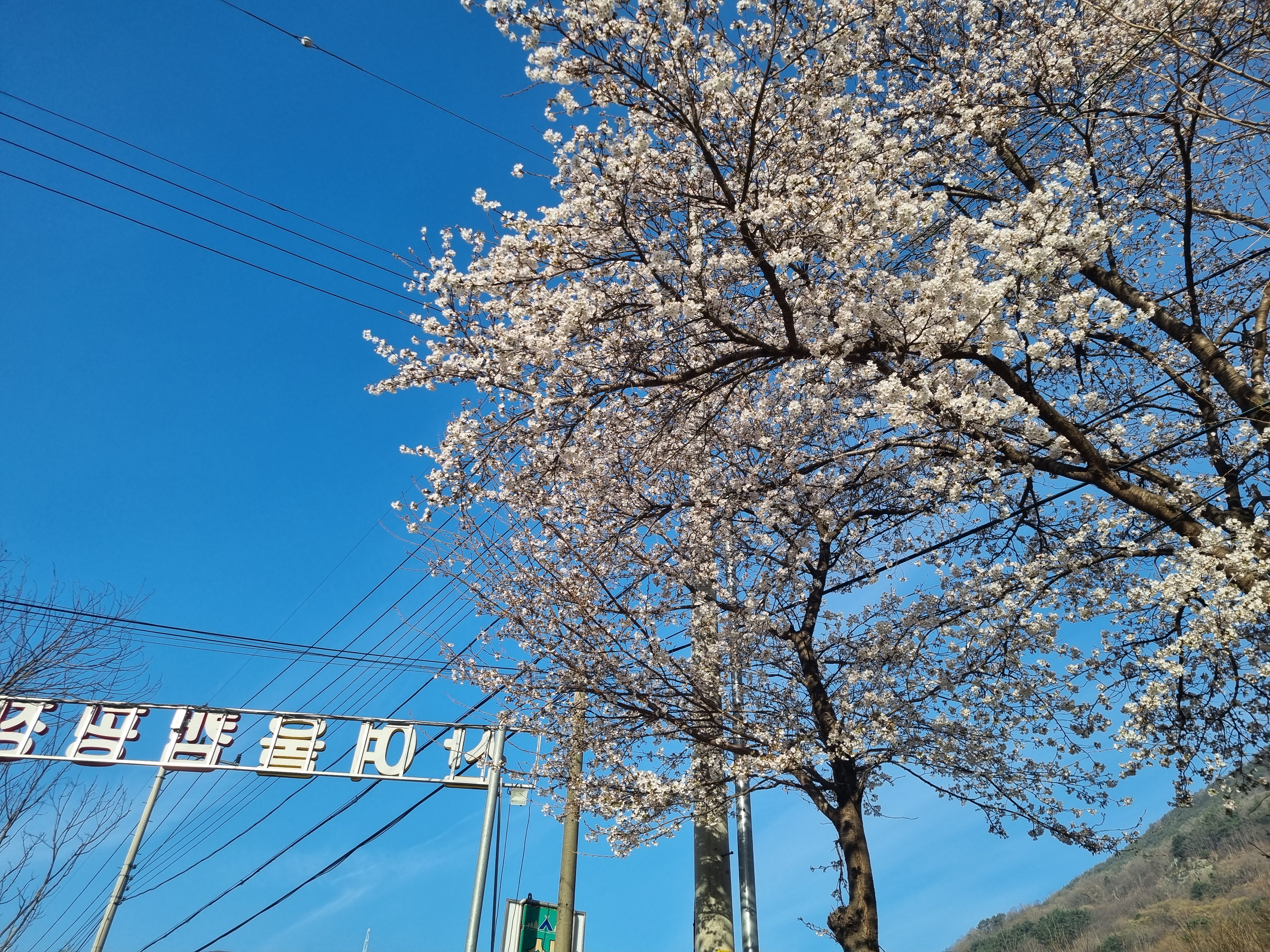 밀양 산여울캠핑장