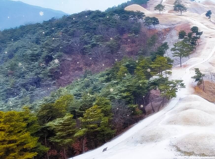 아이들과-가기-좋은-1월-국내-여행지-추천