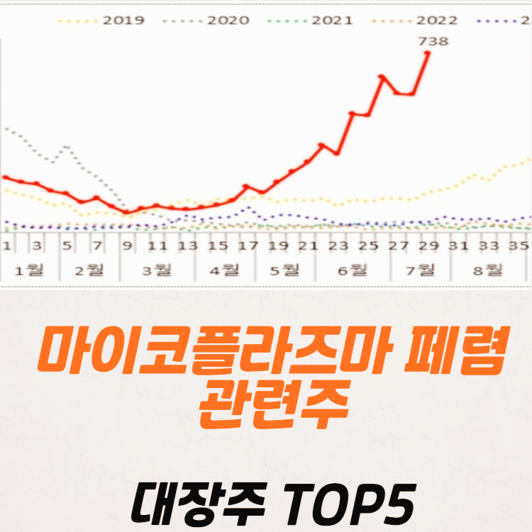 마이코플라즈마 폐렴 관련주 대장주 테마주 수혜주 TOP5