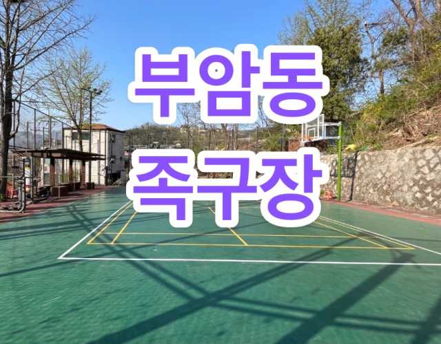 종로구 부암동 족구장 무료 이용하기