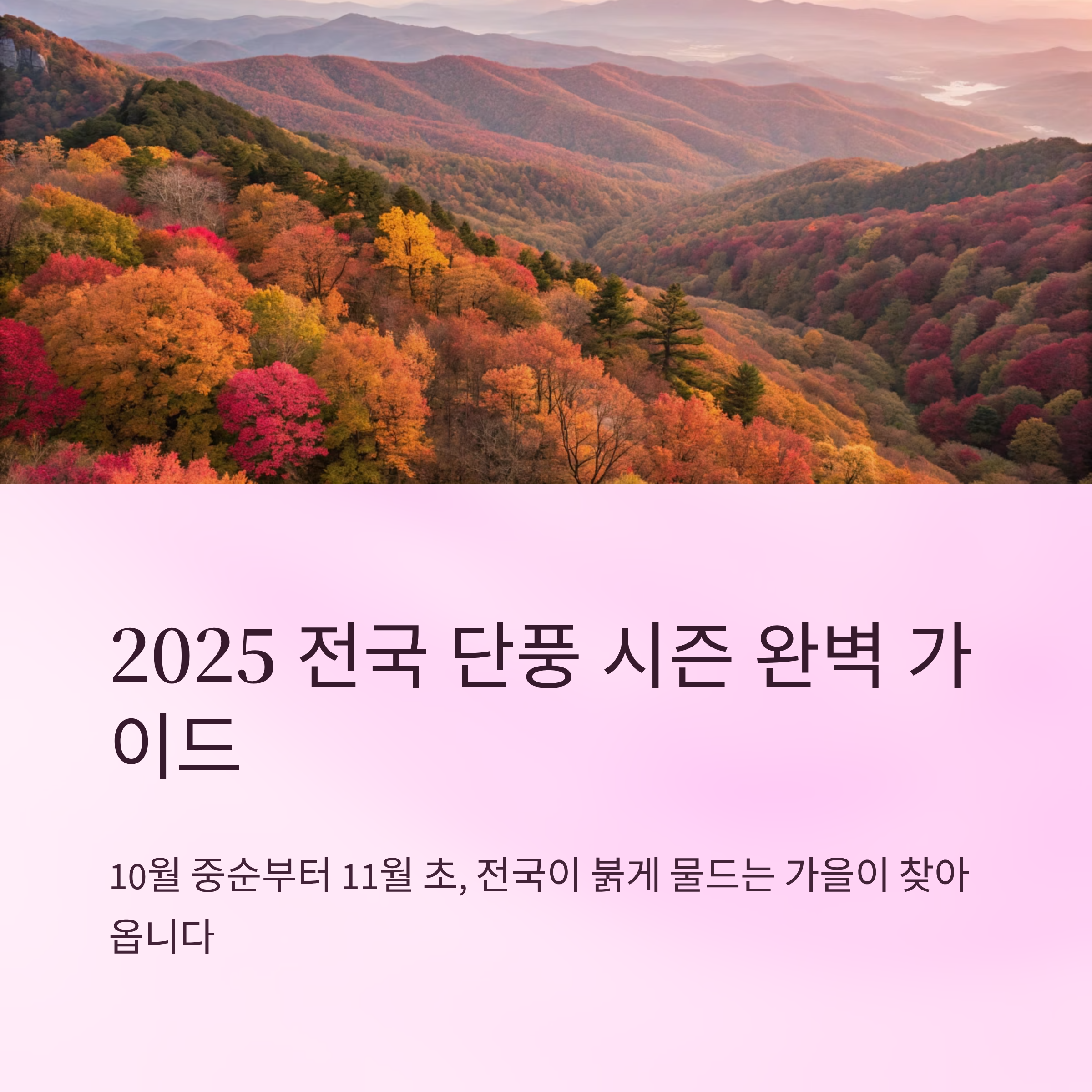 단풍시기 2025 전국 명소별 일정 총정리